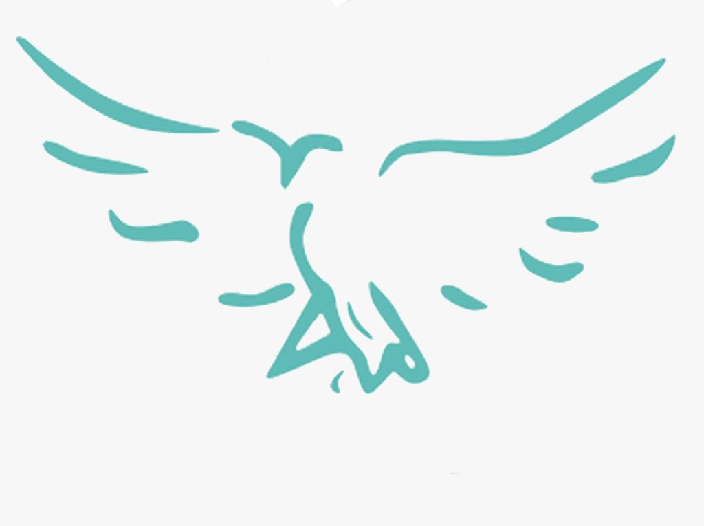Logo Dove Youth Development